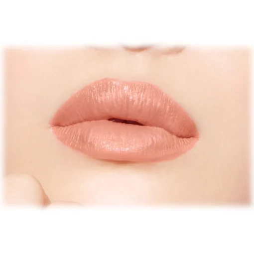 Dior Beauty Make Up-Dior - Rouge Dior - Lipstick - Satin Finish - Dark Treatment - Luxury - Avvenice