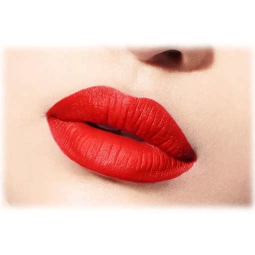 Dior Beauty Make Up-Dior - Rouge Dior - Lipstick - Satin Finish - Dark Treatment - Luxury - Avvenice
