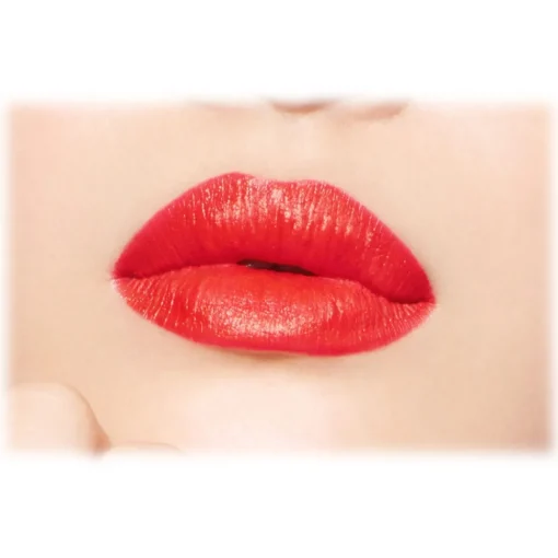 Dior Beauty Make Up-Dior - Rouge Dior - Lipstick - Satin Finish - Dark Treatment - Luxury - Avvenice