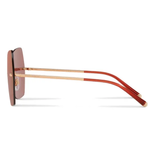 Dolce & Gabbana Eyewear Sunglasses & Eyewear-Dolce & Gabbana - Butterfly Sunglasses with Metallic Details - Burgundy Rose Gold - Dolce & Gabbana Eyewear - Avvenice