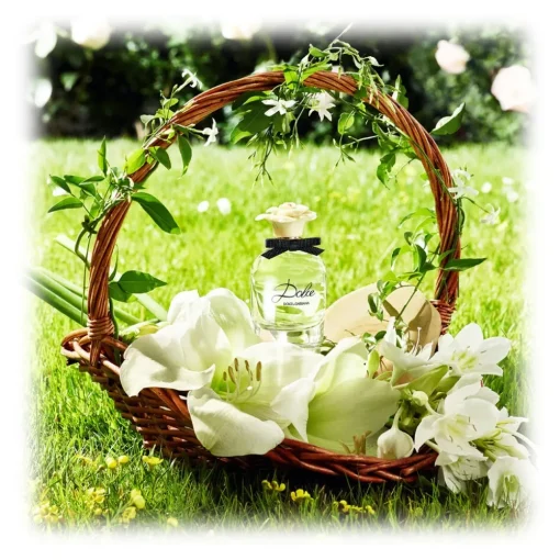 Dolce & Gabbana Beauty Fragrances-Dolce & Gabbana - Dolce - Eau de Parfum - Italy - Beauty - Fragrances - Luxury - 75 ml - Avvenice
