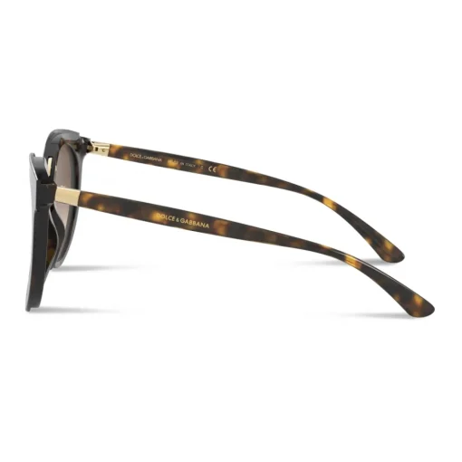 Dolce & Gabbana Eyewear Sunglasses & Eyewear-Dolce & Gabbana - Double Line Sunglasses - Havana - Dolce & Gabbana Eyewear - Avvenice