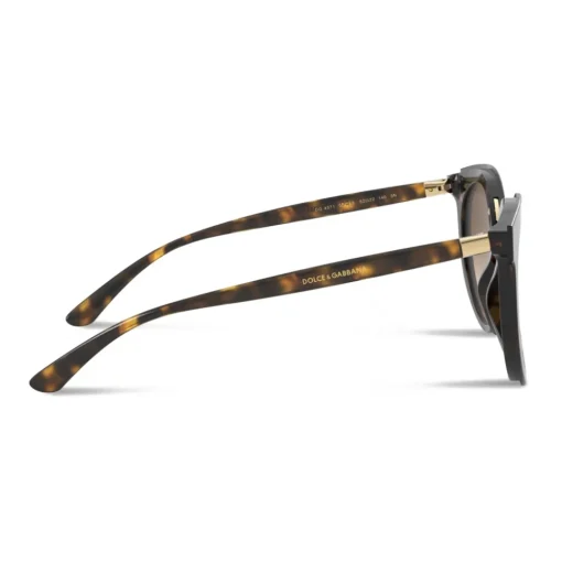 Dolce & Gabbana Eyewear Sunglasses & Eyewear-Dolce & Gabbana - Double Line Sunglasses - Havana - Dolce & Gabbana Eyewear - Avvenice