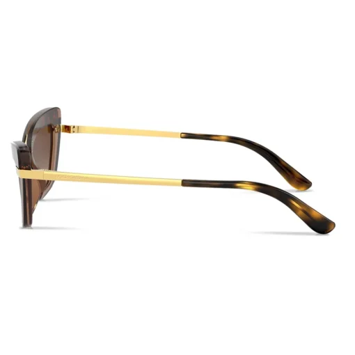 Dolce & Gabbana Eyewear Sunglasses & Eyewear-Dolce & Gabbana - Half Print Sunglasses - Havana - Dolce & Gabbana Eyewear - Avvenice