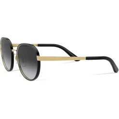 Dolce & Gabbana Eyewear Sunglasses & Eyewear-Dolce & Gabbana - Print Family Sunglasses - Gold - Dolce & Gabbana Eyewear - Avvenice