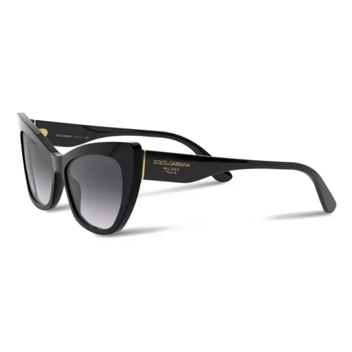 Dolce & Gabbana Eyewear Sunglasses & Eyewear-Dolce & Gabbana - Print Family Sunglasses - Black - Dolce & Gabbana Eyewear - Avvenice