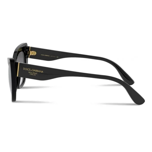 Dolce & Gabbana Eyewear Sunglasses & Eyewear-Dolce & Gabbana - Print Family Sunglasses - Black - Dolce & Gabbana Eyewear - Avvenice