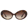 Dolce & Gabbana Eyewear Sunglasses & Eyewear-Dolce & Gabbana - Round Sunglasses Print Family - Havana - Dolce & Gabbana Eyewear - Avvenice
