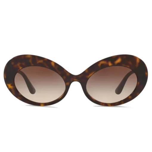 Dolce & Gabbana Eyewear Sunglasses & Eyewear-Dolce & Gabbana - Round Sunglasses Print Family - Havana - Dolce & Gabbana Eyewear - Avvenice