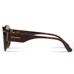 Dolce & Gabbana Eyewear Sunglasses & Eyewear-Dolce & Gabbana - Round Sunglasses Print Family - Havana - Dolce & Gabbana Eyewear - Avvenice