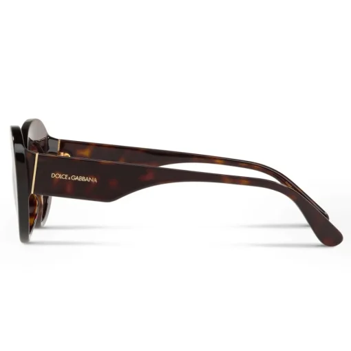Dolce & Gabbana Eyewear Sunglasses & Eyewear-Dolce & Gabbana - Round Sunglasses Print Family - Havana - Dolce & Gabbana Eyewear - Avvenice