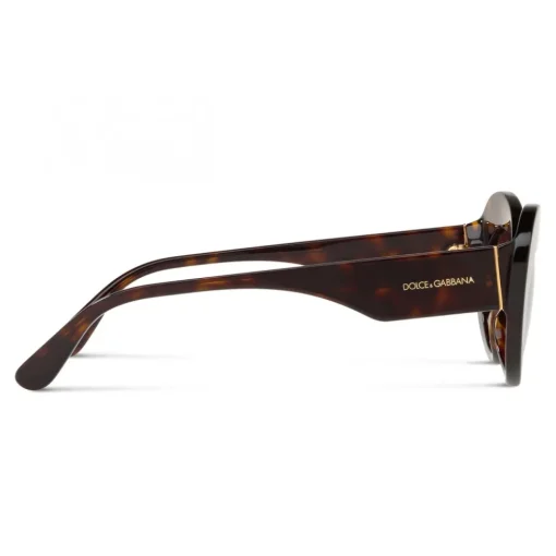 Dolce & Gabbana Eyewear Sunglasses & Eyewear-Dolce & Gabbana - Round Sunglasses Print Family - Havana - Dolce & Gabbana Eyewear - Avvenice