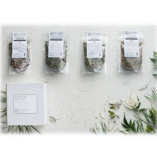 Dr. Farmer Tea And Infusions-- Biodetox Tea Kit - 2 Weeks - 100 % Organic - 100 % Italian - 100 % Vegan - Organic Tea - Avvenice