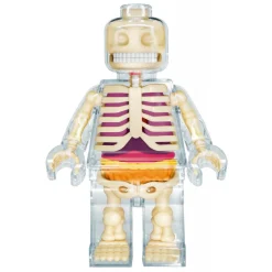 Fame Master Games-- Brick Man - Clear - 4D Master - Mighty Jaxx - Jason Freeny - Body Anatomy - XX Ray - Art Toys - Avvenice