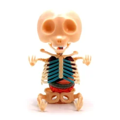 Fame Master Games-- Small Gummi Bear - Green - 4D Master - Mighty Jaxx - Jason Freeny - Body Anatomy - XX Ray - Art Toys - Avvenice