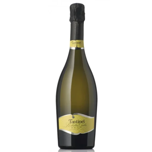 Fantinel Wines-- Ribolla Gialla Brut - Sparkling Wine - Avvenice