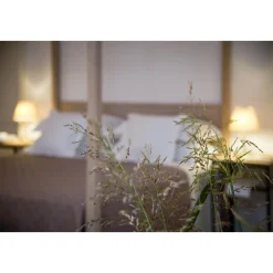 Furnirussi Tenuta Spa & Wellness-- Gourmet - 4 Days 3 Nights - Avvenice