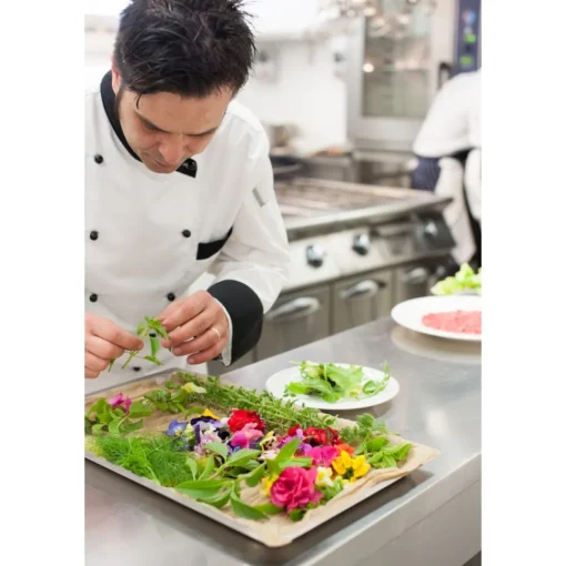 Furnirussi Tenuta Spa & Wellness-- Gourmet - 4 Days 3 Nights - Avvenice