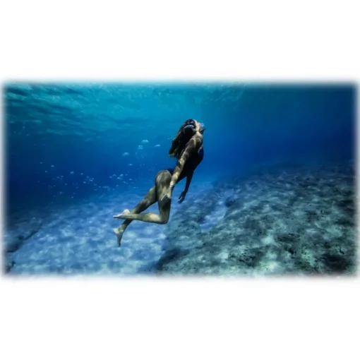 GoPro Photo & Video-- New HERO - 2018 - Underwater Professional 1440p 1080p Video Camera - Professional Video Camera - Avvenice