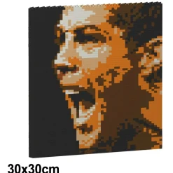 Jekca Games-- Cristiano Ronaldo Brick Painting 01S - Lego - Sculpture - Construction - 4D - Brick Animals - Toys - Avvenice