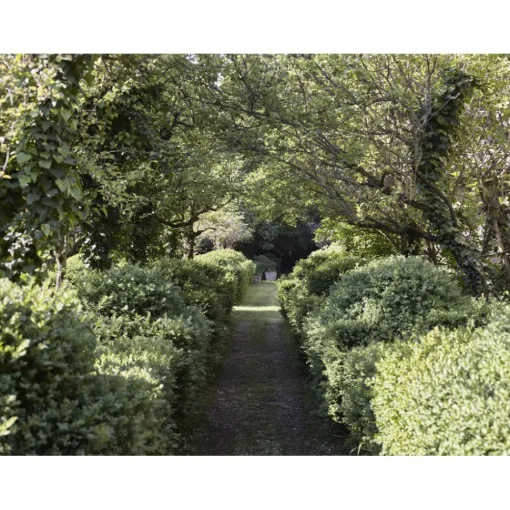 Le Dimore del Borgo Nature & Relax-- Discovering Borgo del Balsamico - 2 Days 1 Night - Piccolina Suite - 2 Persons - Vinegar Experience - Avvenice