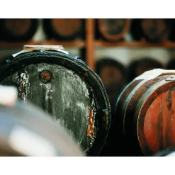 Le Dimore del Borgo Exclusive Experiences-- Discovering Borgo del Balsamico - Balsamic Vinegar Experience - Guided Tour with Tasting - Daily - Avvenice