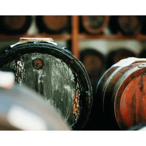 Le Dimore del Borgo Exclusive Experiences-- Discovering Borgo del Balsamico - Balsamic Vinegar Experience - Guided Tour with Tasting - Daily - Avvenice