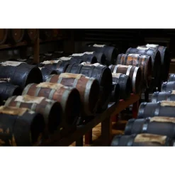 Le Dimore del Borgo Exclusive Experiences-- Discovering Borgo del Balsamico - Balsamic Vinegar Experience - Guided Tour with Tasting - Daily - Avvenice