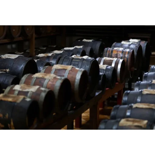 Le Dimore del Borgo Exclusive Experiences-- Discovering Borgo del Balsamico - Balsamic Vinegar Experience - Guided Tour with Tasting - Daily - Avvenice