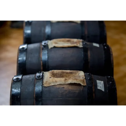 Le Dimore del Borgo Exclusive Experiences-- Discovering Borgo del Balsamico - Balsamic Vinegar Experience - Guided Tour with Tasting - Daily - Avvenice