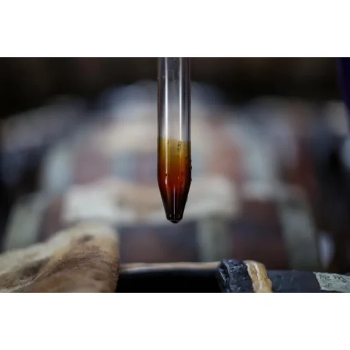 Le Dimore del Borgo Exclusive Experiences-- Discovering Borgo del Balsamico - Balsamic Vinegar Experience - Guided Tour with Tasting - Daily - Avvenice