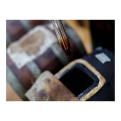 Le Dimore del Borgo Exclusive Experiences-- Discovering Borgo del Balsamico - Balsamic Vinegar Experience - Guided Tour with Tasting - Daily - Avvenice
