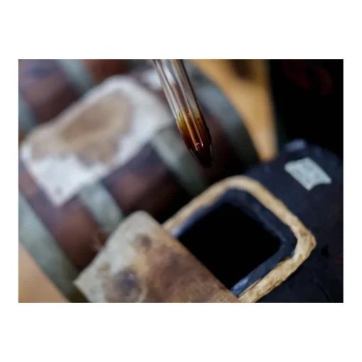 Le Dimore del Borgo Exclusive Experiences-- Discovering Borgo del Balsamico - Balsamic Vinegar Experience - Guided Tour with Tasting - Daily - Avvenice