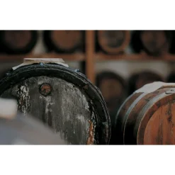 Le Dimore del Borgo Exclusive Experiences-- Discovering Borgo del Balsamico - Balsamic Vinegar Experience - Guided Tour with Tasting - Daily - Avvenice
