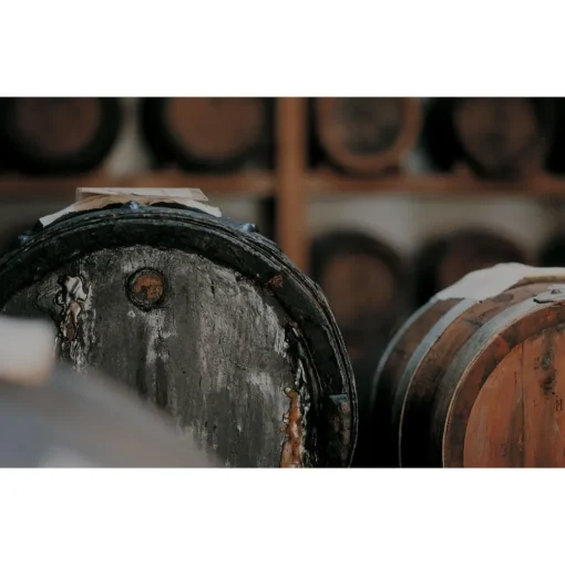 Le Dimore del Borgo Exclusive Experiences-- Discovering Borgo del Balsamico - Balsamic Vinegar Experience - Guided Tour with Tasting - Daily - Avvenice