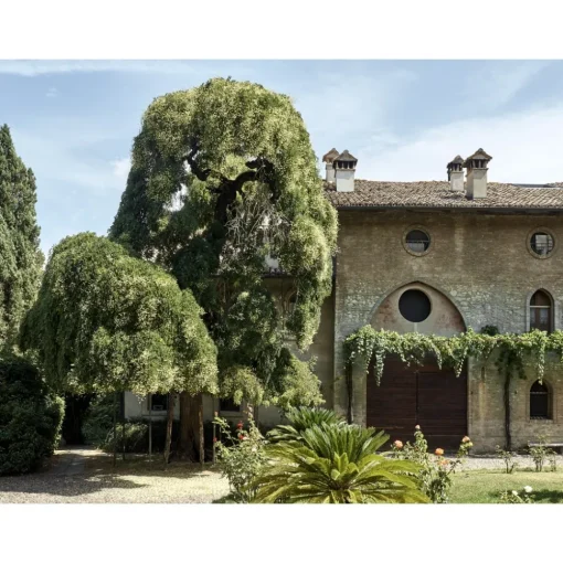 Le Dimore del Borgo Exclusive Experiences-- Discovering Borgo del Balsamico - Balsamic Vinegar Experience - Guided Tour with Tasting - Daily - Avvenice
