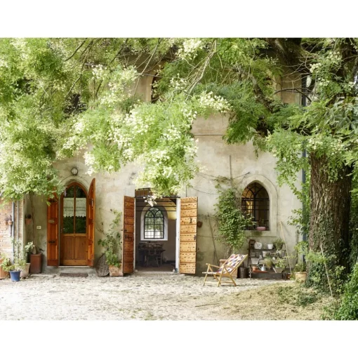 Le Dimore del Borgo Exclusive Experiences-- Discovering Borgo del Balsamico - Balsamic Vinegar Experience - Guided Tour with Tasting - Daily - Avvenice