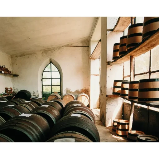 Le Dimore del Borgo Exclusive Experiences-- Discovering Borgo del Balsamico - Balsamic Vinegar Experience - Guided Tour with Tasting - Daily - Avvenice