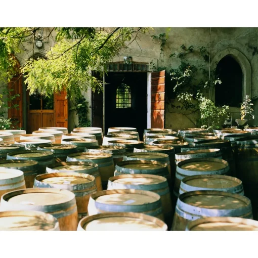 Le Dimore del Borgo Exclusive Experiences-- Discovering Borgo del Balsamico - Balsamic Vinegar Experience - Guided Tour with Tasting - Daily - Avvenice