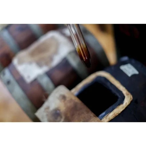 Le Dimore del Borgo Exclusive Experiences-- Discovering Borgo del Balsamico - Balsamic Vinegar Experience - Guided Tour with Tasting - Daily - Avvenice