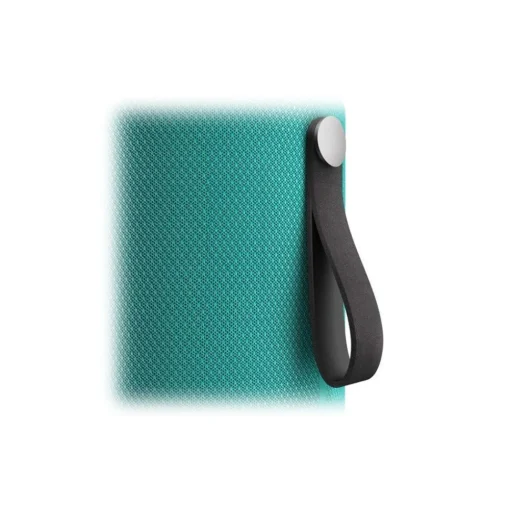 Libratone Audio-- Zipp 2 - Pine Green - High Quality Speaker - Alexa, Airplay, Bluetooth, Wireless, DLNA, WiFi - Avvenice