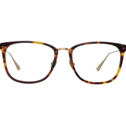 Linda Farrow Sunglasses-- Cassin Optical D-Frame in Tortoiseshell - LFL1457C4OPT - Eyewear - Avvenice