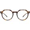 Linda Farrow Sunglasses-- Griffin Oval Optical Glasses in Tortoiseshell - LF50C2OPT - Eyewear - Avvenice