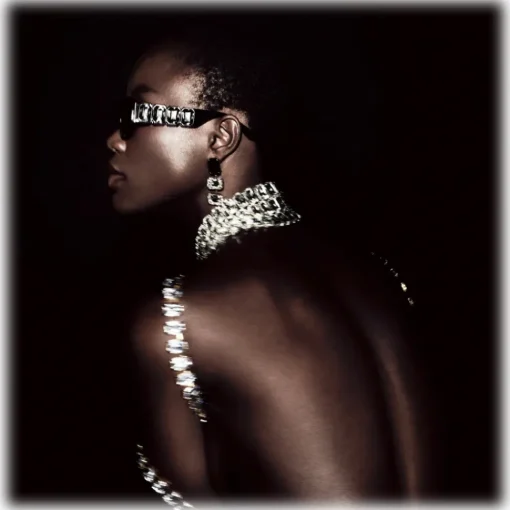 Linda Farrow Sunglasses-- LF x Nima Benati The Lola Sunglasses in Black Gemstone - LFL1117C1SUN - Eyewear - Avvenice