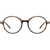 Linda Farrow Sunglasses-- Merrick A Oval Optical Glasses in Tortoiseshell - LF51AC2OPT - Eyewear - Avvenice