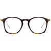 Linda Farrow Sunglasses-- Mila Square Optical Glasses in Brown - LF52C4OPT - Eyewear - Avvenice