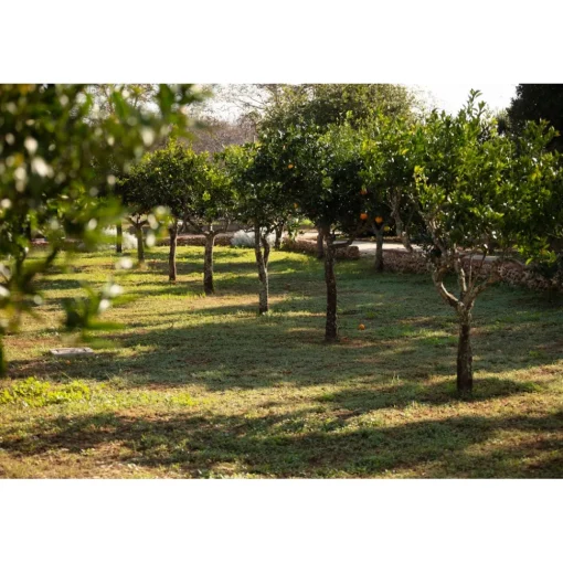 Masseria Mongi\u00f2 Spa & Wellness|Nature & Relax-Masseria Mongiò dell'Elefante - Exclusive Puglia - Suite - Salento - Baia dei Turchi - 4 Days 3 Nights - Avvenice