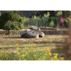 Masseria Mongi\u00f2 Spa & Wellness|Nature & Relax-Masseria Mongiò dell'Elefante - Exclusive Puglia - Suite - Salento - Baia dei Turchi - 4 Days 3 Nights - Avvenice