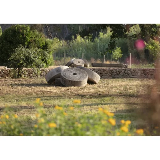 Masseria Mongi\u00f2 Spa & Wellness|Nature & Relax-Masseria Mongiò dell'Elefante - Exclusive Puglia - Suite - Salento - Baia dei Turchi - 4 Days 3 Nights - Avvenice