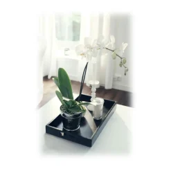 Mikol Marmi Home Accessories-- Black Wooden Trays - Large - Real Marble - Living - Collection - Avvenice